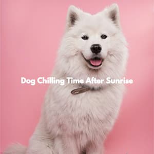 Dog Chilling Time After Sunrise - Allegro Jazz Rilassante