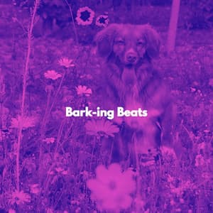 Bark-ing Beats - Chicago Jazz Lounge