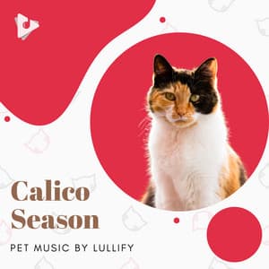 Calico Season - Pet Music by Lullify