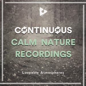 Continuous Calm Nature Recordings - Loopable Atmospheres