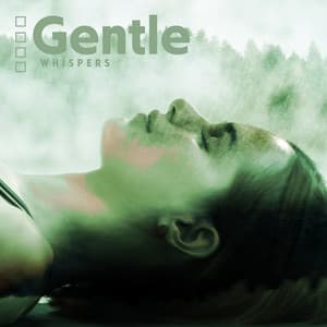 Gentle Whispers: Wind Noises with Piano & Flute Accompaniment for Good Night's Sleep, Mind Relaxation and Body Tension Relief - Harmony Nature Sounds Academy
