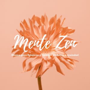 Mente Zen: Música para Relajarse y Trabajar sin Estrés o Ansiedad - Z for Zen