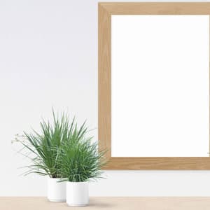 Music for Summer Work Modes - Smoky Jazz Guitar Solo - Cafe Jazz Classics