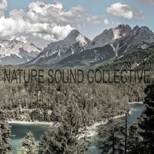 Nature Sound Collective - Nature Love Sound Collective