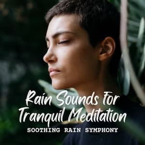 Soothing Rain Symphony: Rain Sounds for Tranquil Meditation - Rain Paris