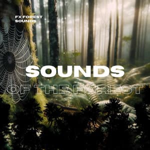 Sounds of the Forest - FX Forest Sounds