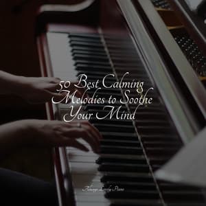 The Best Meditation Music - Piano Music for Exam Study