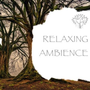 Relaxing Ambience - Natural Spirit