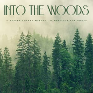 Into The Woods: A Serene Forest Melody To Meditate For Hours - Natural Woodland Sounds