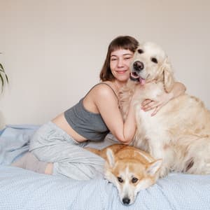 Melodic Pet Connections: Jazz Piano for Pets - Jazz Piano Instrumentals