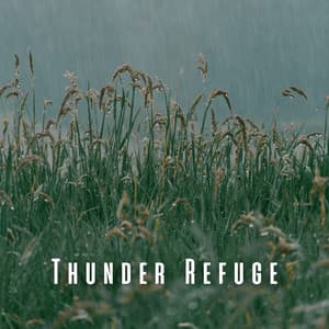 Thunder Refuge: Heavy Rain for Relaxation - Thunder etc.