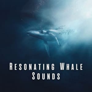 Resonating Whale Sounds - Sea of Waves