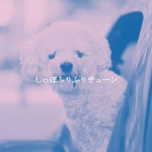 しっぽふりふりチューン - Musica Rilassante & Benessere