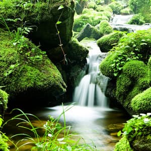 Melodic Waters: Dreaming by the Stream - Waterfall Library