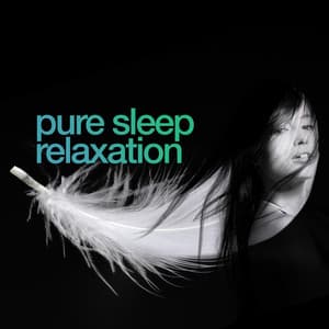 Pure Sleep Relaxation - Sleep Relaxation