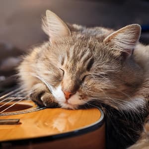 Acordes Tranquilos: Música De Guitarra Para Gatos - Guitarra Tranquila