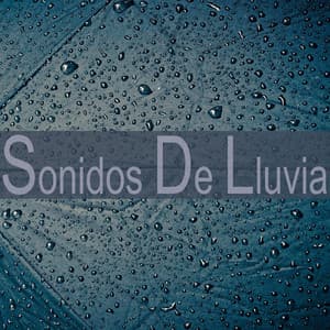 Sonidos de Lluvia - Sonidos De Lluvia y Viento