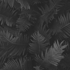 Ambiance for Unique Thoughts - Instrumental Jazz Trio New York