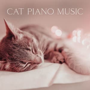 Cat Piano Music – Relaxing Cat Purring And Calming Melodies To Soothe Cats & Humans - Pet Cheetah Dreams