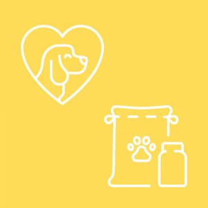 Divine Backdrop for A Gentle Pup - Dog Anxiety Music