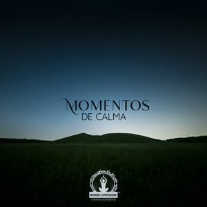 Momentos de Calma: Piano Calmante para a Noite - Meditação e Espiritualidade Musica Academia