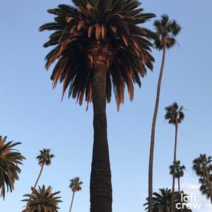 Jazz Para La Calma De La Mente - Office Time