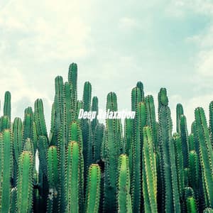 Deep Relaxation - Relaxing Jazz Music