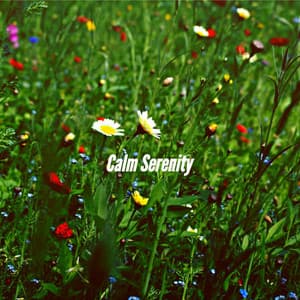 Calm Serenity - Jazz Relajante Clasico