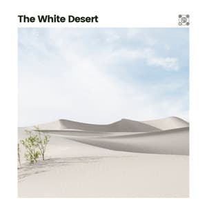 The White Desert - Background Sleep White Noise