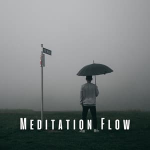 Meditation Flow: Rain Sounds for Deep Concentration - Meditation Music Solitude