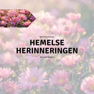 Hemelse Herinneringen - Ontspanning en Harmonie