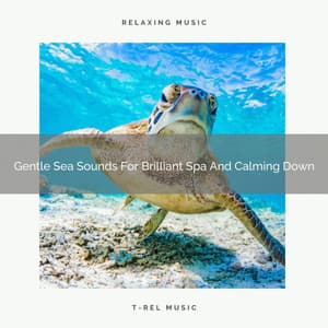 Gentle Sea Sounds For Brilliant Spa And Calming Down - Timeless Relax