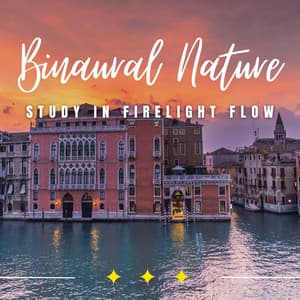 Firelight Study Sessions: Binaural Focus Fires - Reading and Studying Music
