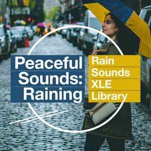 Peaceful Sounds: Raining - Rain Sounds XLE Library