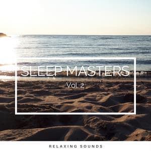 2022 Sleep Masters Vol. 2 - World Recorders