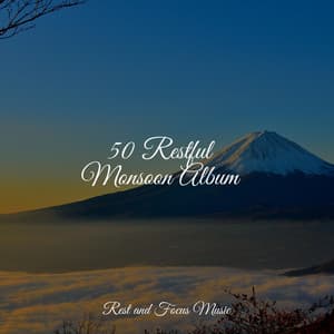 50 Restful Monsoon Album - Deep Focus