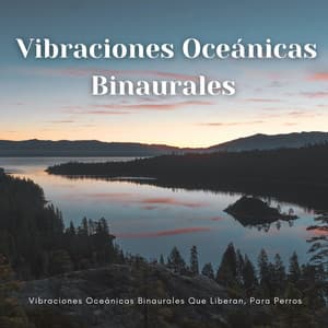 Vibraciones Oceánicas Binaurales Que Liberan, Para Perros - Ritmo binaural