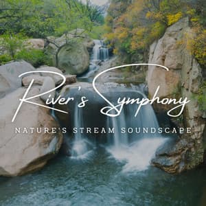 River's Symphony: Nature's Stream Soundscape - Water Rock Soundscapes