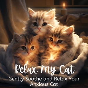 Relax My Cat - Gently Soothe and Relax Your Anxious Cat - Cat Music Zone