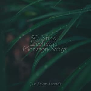 50 Mind Electronic Monsoon Songs - Instrumental