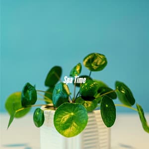 Spa Time - Cafe Jazz Duo