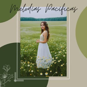 Melodías Pacíficas: Relajación y Meditación con Sonidos de la Nueva Era - Sueño Lucido