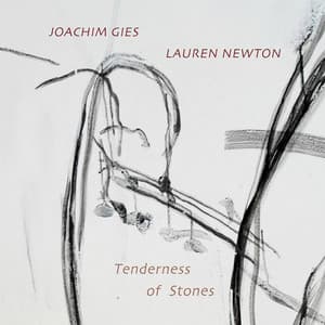 Tenderness of Stones - Joachim Gies