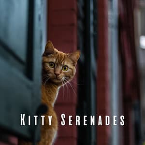 Kitty Serenades: Ambient Music for Relaxed Cats - Easy Sunday Listening