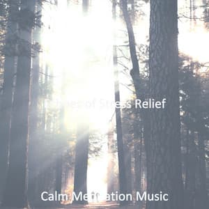 Echoes of Stress Relief - Calm Meditation Music