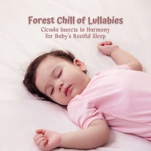 Forest Chill of Lullabies: Cicada Insects in Harmony for Baby's Restful Sleep - Ambient Forest