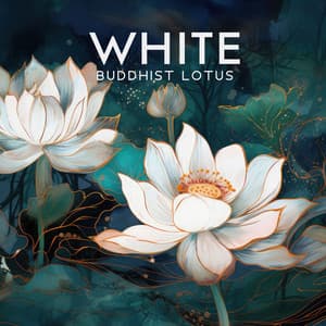 White Buddhist Lotus: Gentle Oriental Music for Spa, Massage and Meditation, Deep Relaxation, Tranquil Antistress Therapy - Mindfulness Meditation Music Spa Maestro