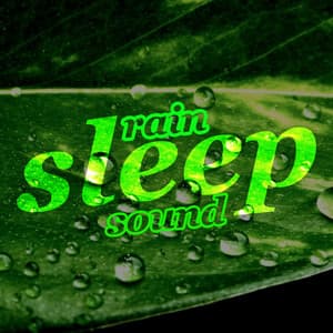 Rain: Sleep Sound - Sleep Sounds Rain
