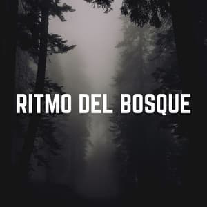Ritmo del Bosque - Sonidos de la Naturaleza para Dormir