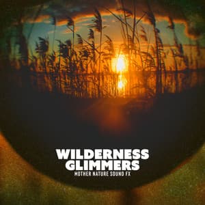 Wilderness Glimmers - Mother Nature Sound FX